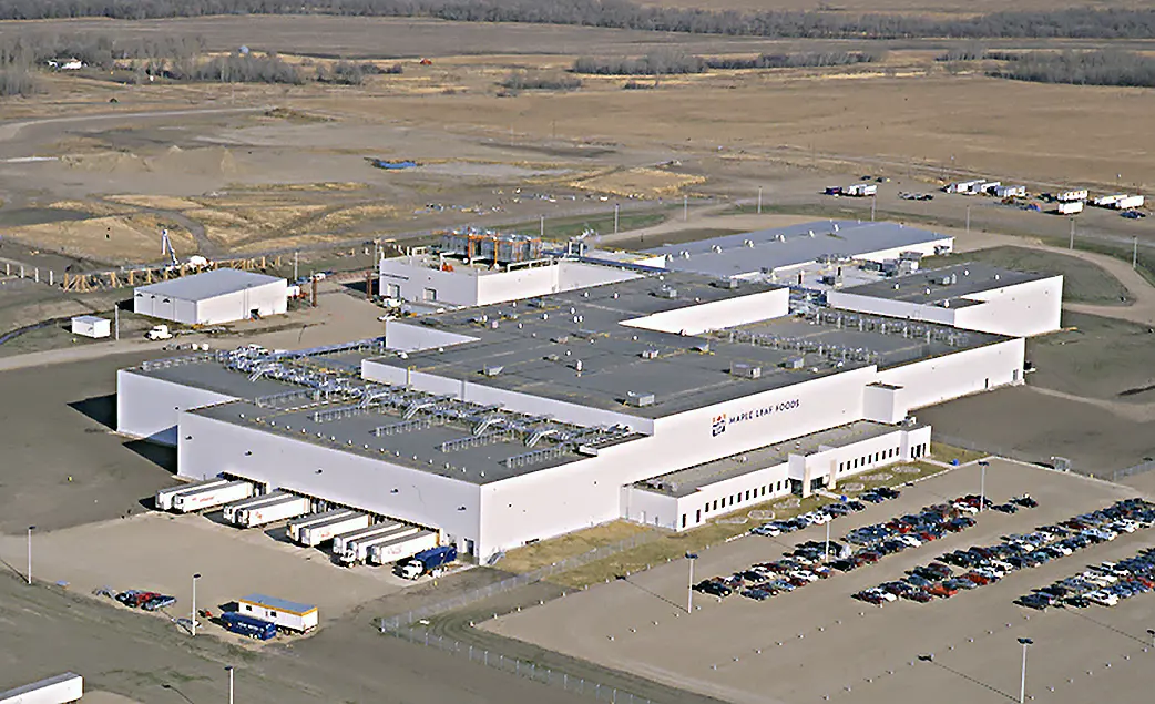 Maple Leaf Manitoba Stellar 02