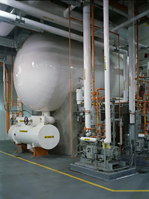 Tropicana Bradenton Stellar 08