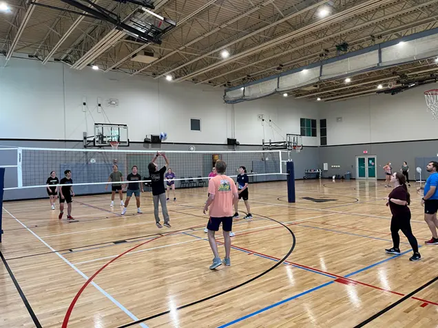 Stellar Interns Volleyball