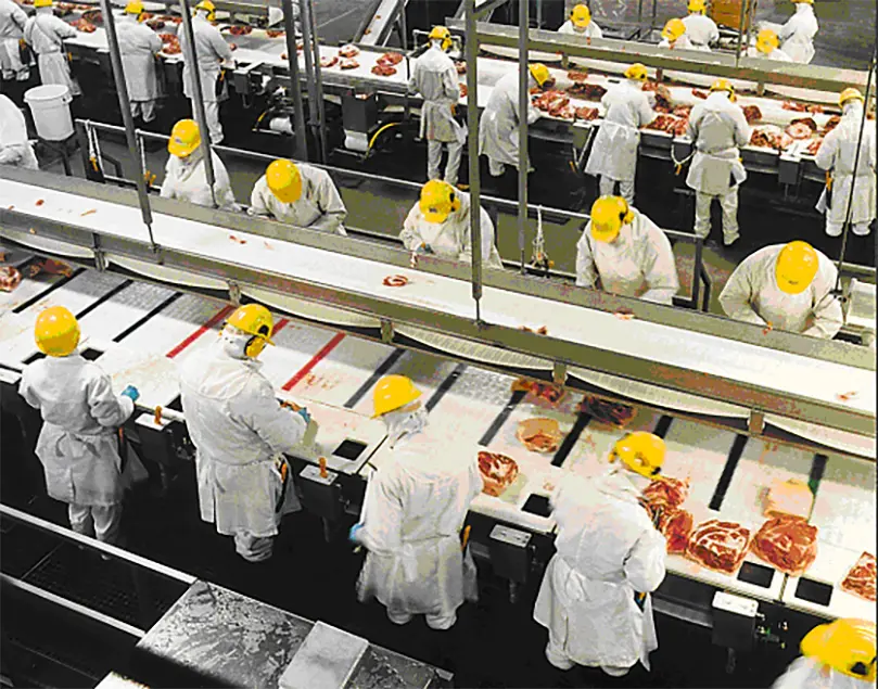 Maple Leaf Manitoba Stellar 03