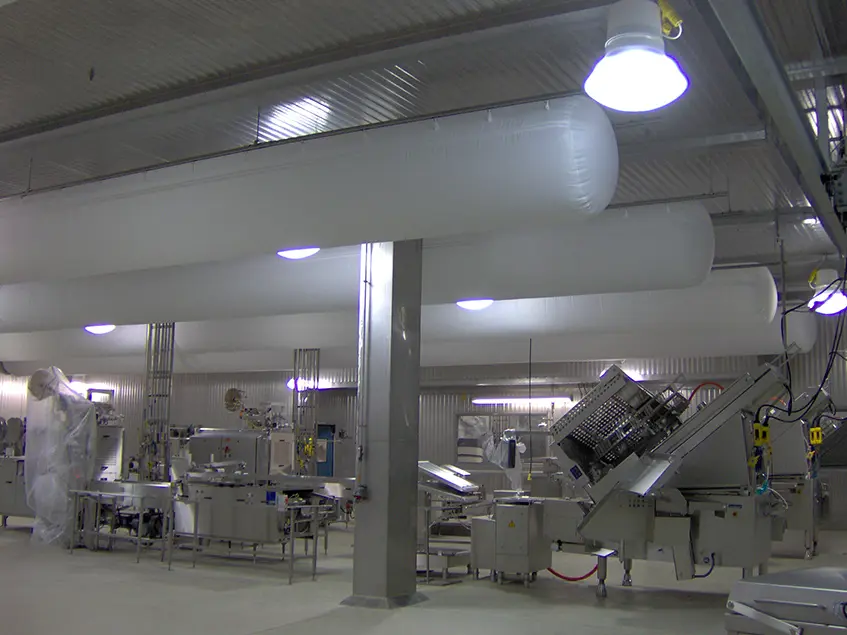 Sara Lee MO Stellar 05