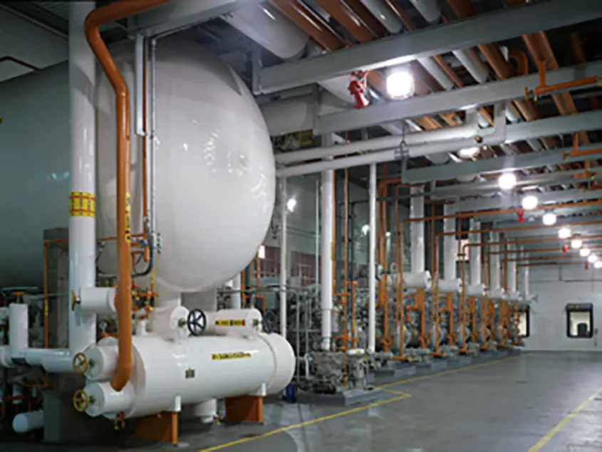 Tropicana Bradenton Stellar 07