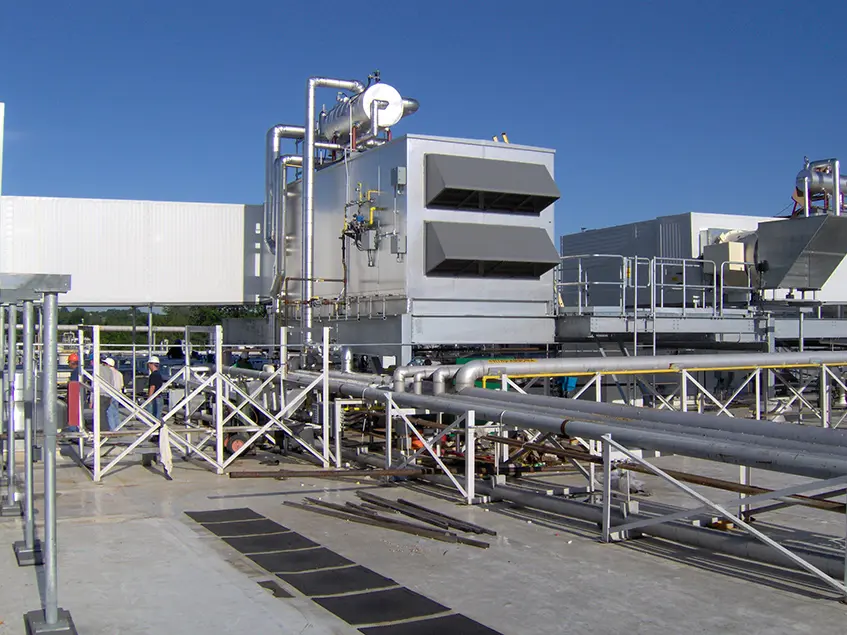 Sara Lee KY Stellar 05