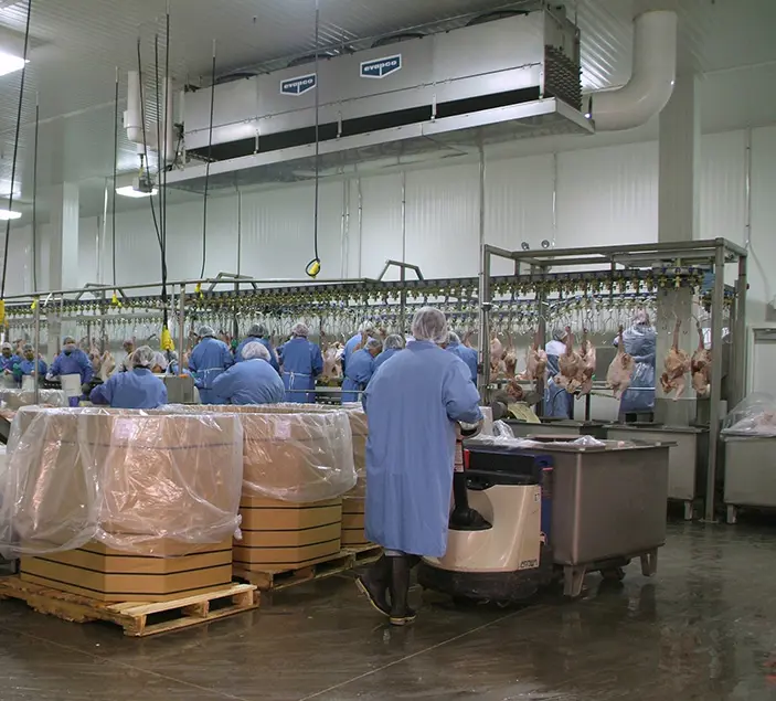 Dakota Provisions Stellar 1