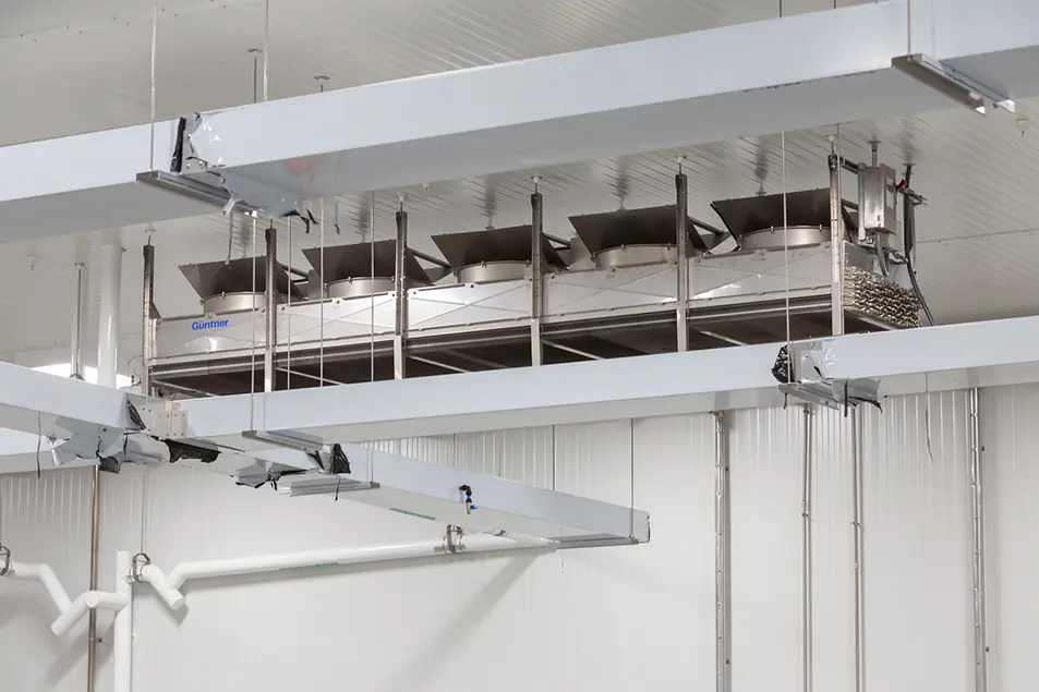 Beaver Street Fisheries 3