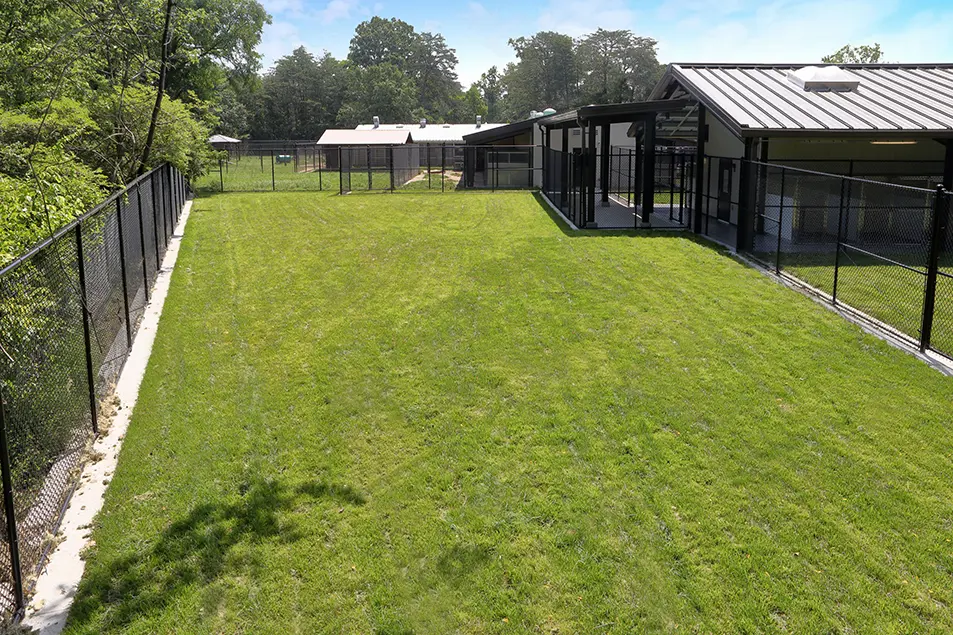 07405 Fort Meade Pet Care Facility (12) Web Size