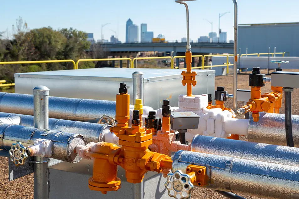 Beaver Street Fisheries 5