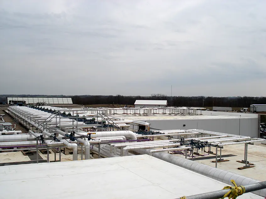 Premium Standard Farms Stellar 06