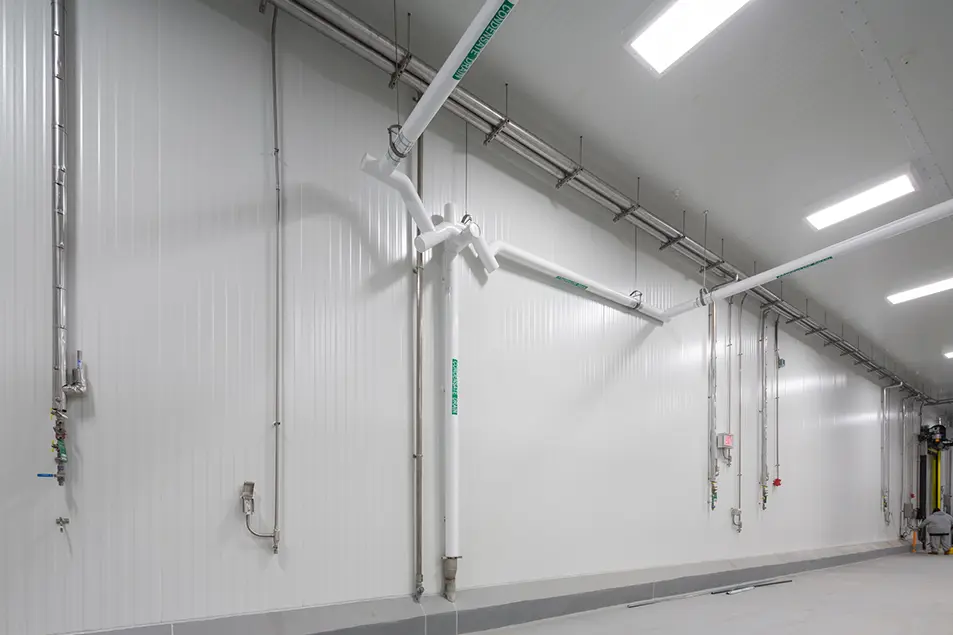 Beaver Street Fisheries 2