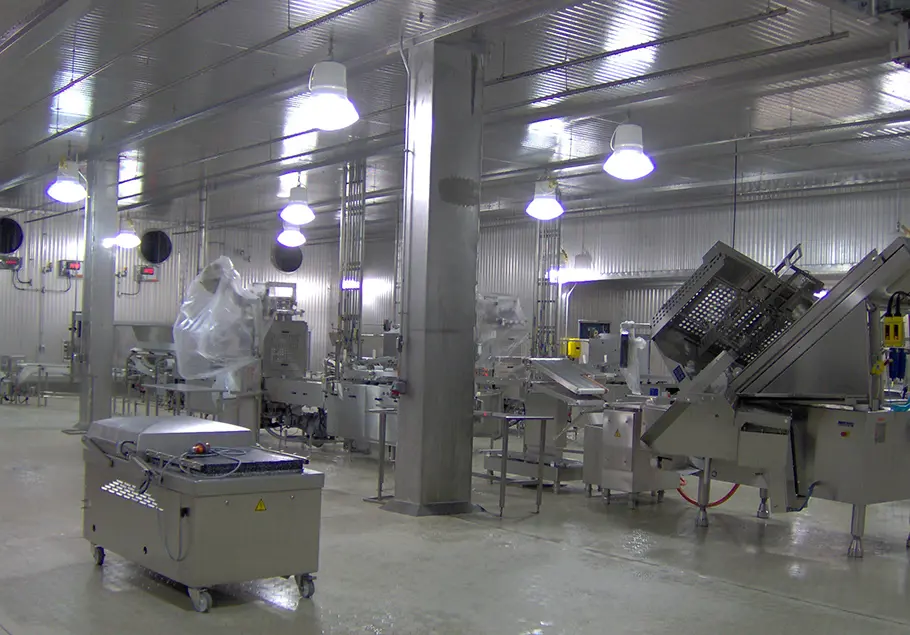 Sara Lee MO Stellar 06