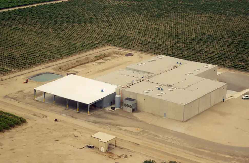 Sundale Vineyards Stellar 10