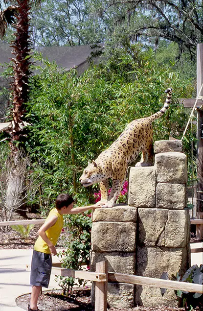 Jacksonville Zoo Stellar 11