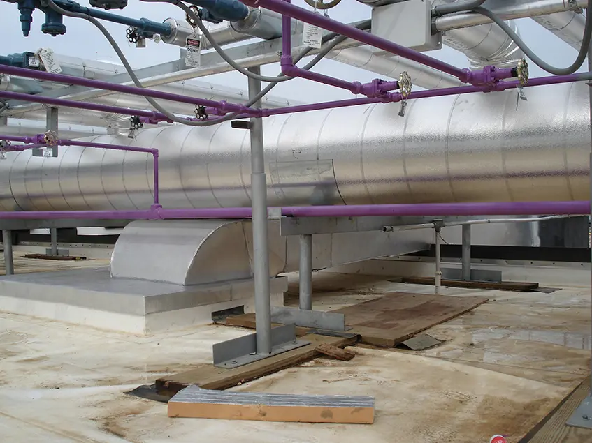 Premium Standard Farms Stellar 05