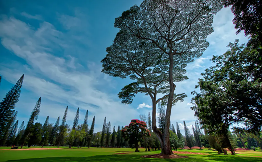 Leilehua Golf Course Stellar 4