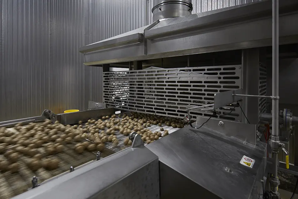 Rosina Stellar Meatball Facility Design Build 9