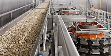 Brochure Food Process Packaging Engineering