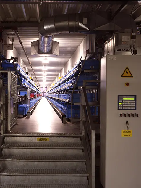 Distribution Center Construction Project: CVS Pharmacy | Stellar