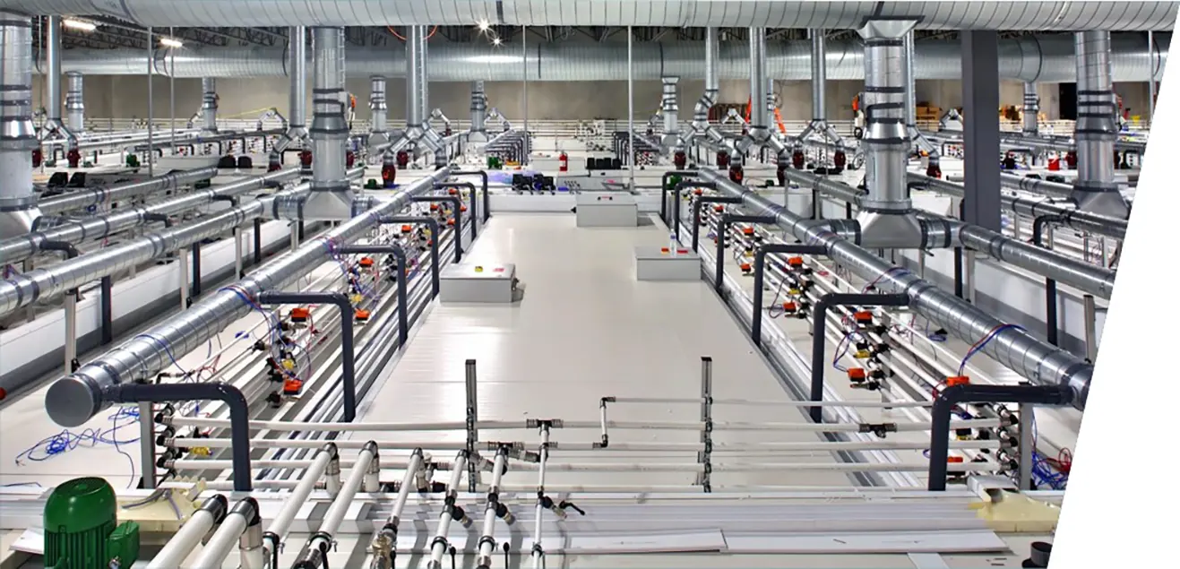 Bell Evans Hatchery Design Build Stellar 1