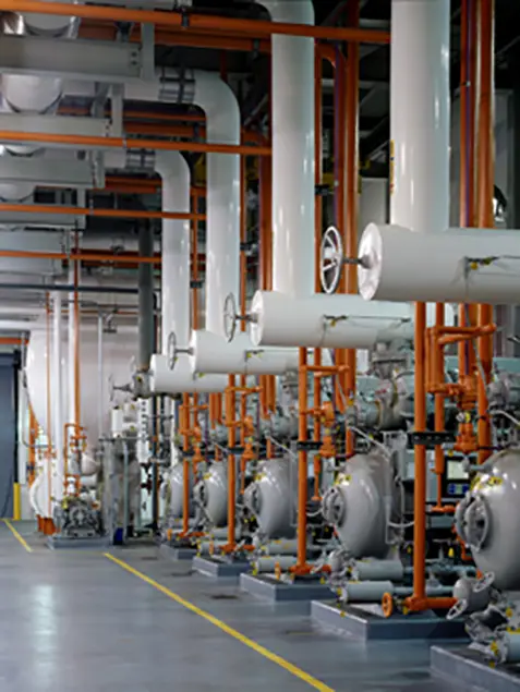 Tropicana Bradenton Stellar 06