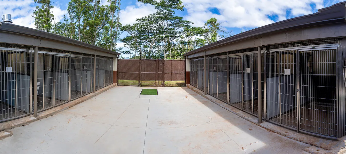 07067 Schofield Barracks Pet Care Outside Web Sized