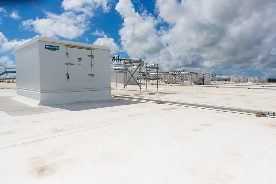 Bahamas Food Services Stellar 33