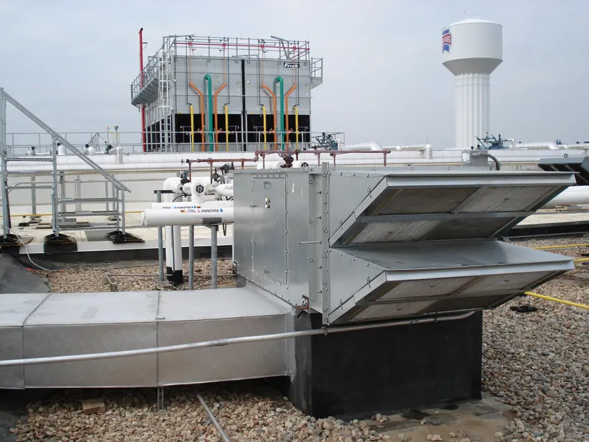 Premium Standard Farms Stellar 02