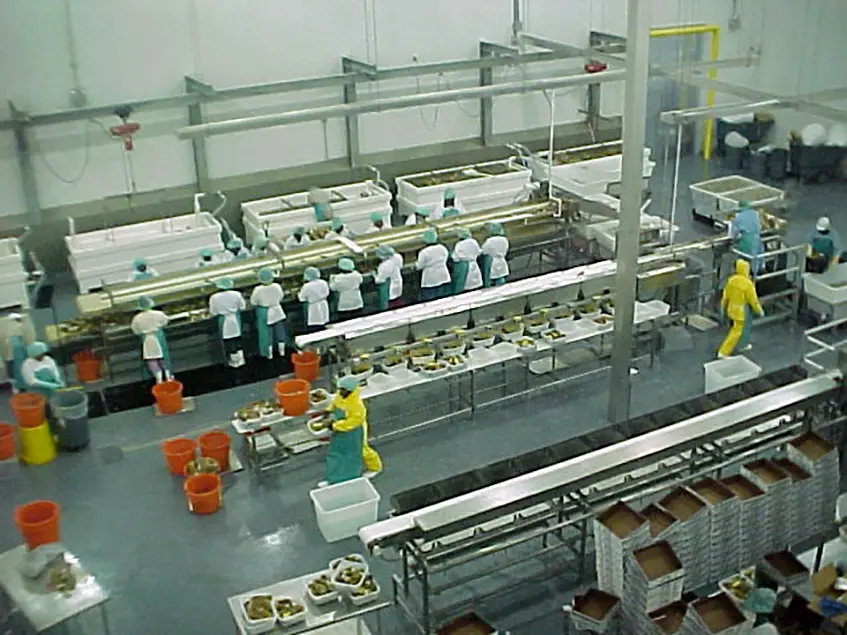 Tropic Seafood Stellar 05