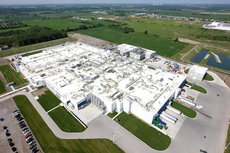 Maple Leaf Manitoba Stellar 01