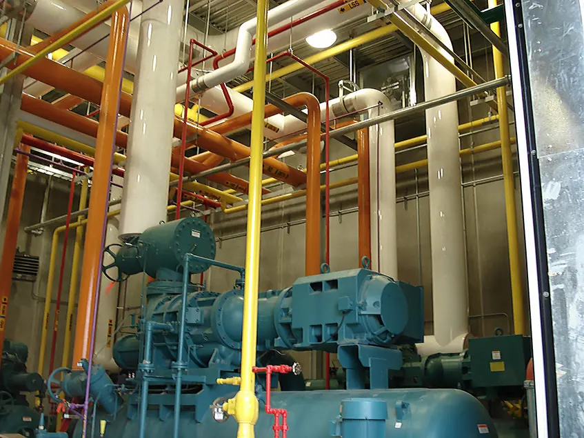 Premium Standard Farms Stellar 01