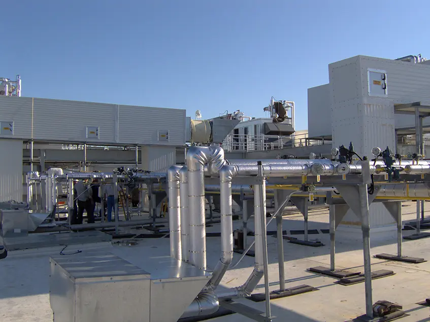 Sara Lee KY Stellar 03