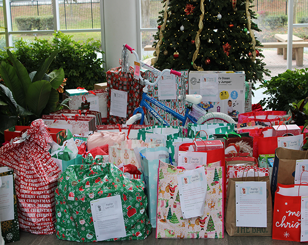 Christmas Drive Stellar Foundation