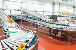 Bell Evans Thumbnail