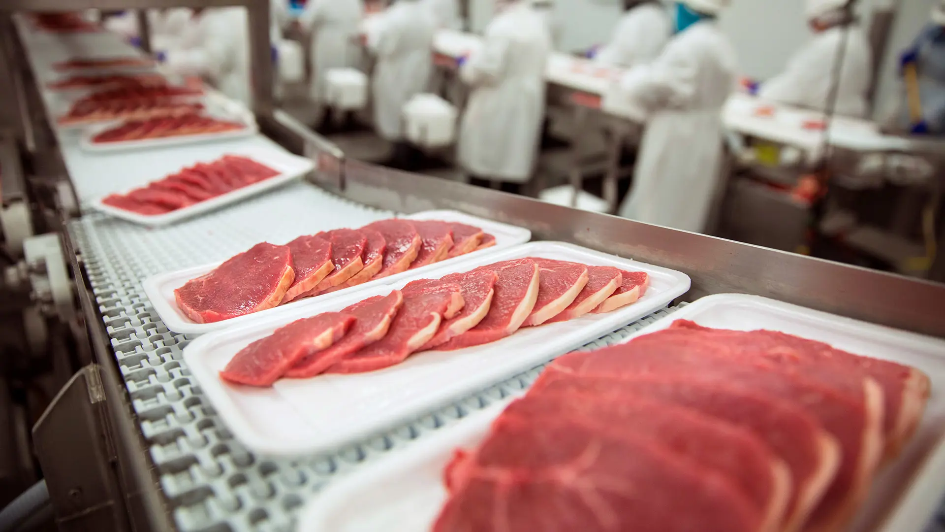 Meat Processing Plant Design & Construction | Stellar