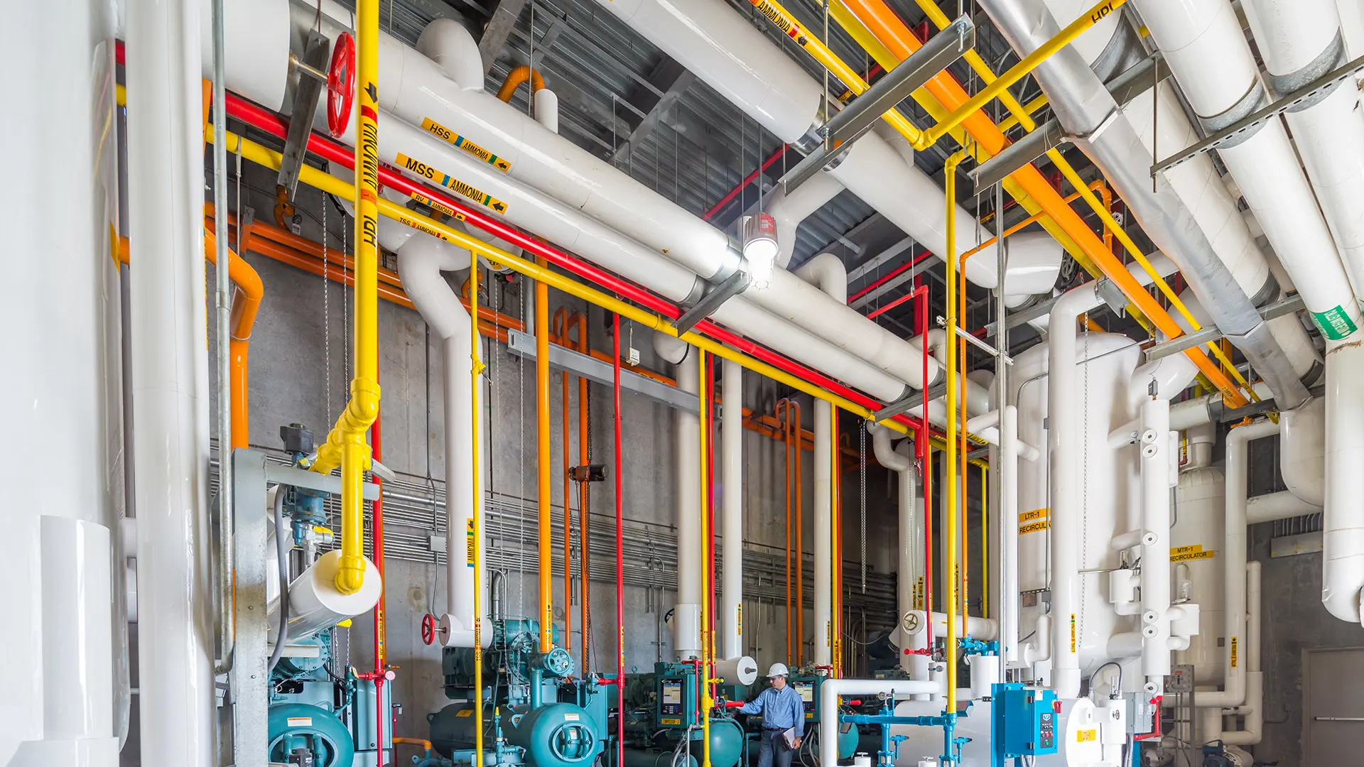 image.title image.title