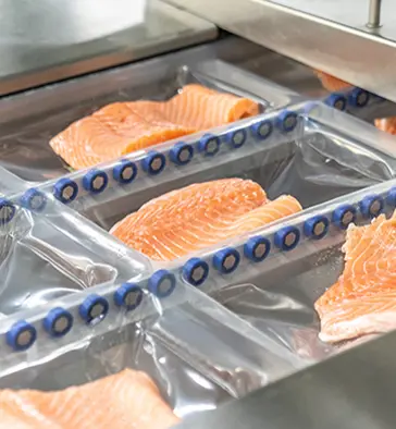Salmon filets are packed in plastic