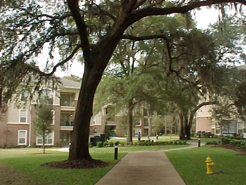 Jacksonville University Stellar 5