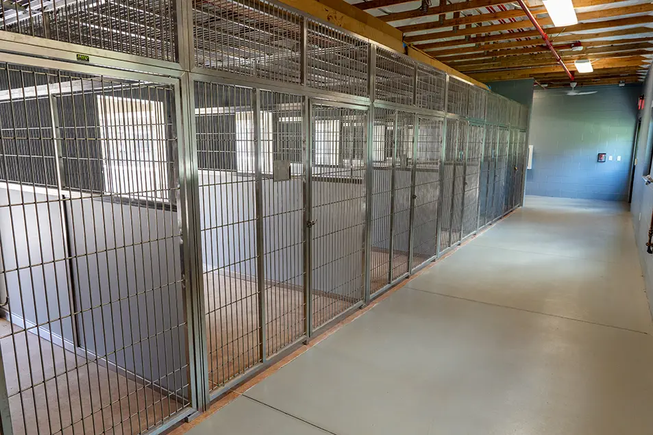 07067 Schofield Barracks Pet Care Kennel 1 Web Sized