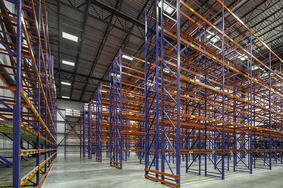 Sysco Norman Stellar 08