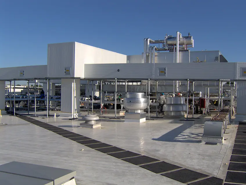 Sara Lee KY Stellar 04