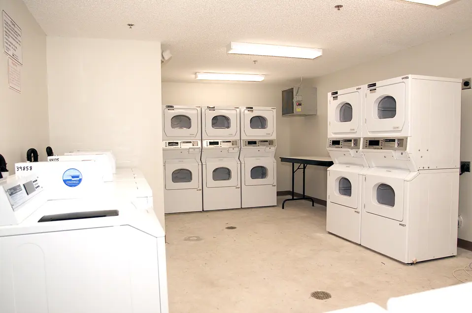 Jacksonville University Stellar 3