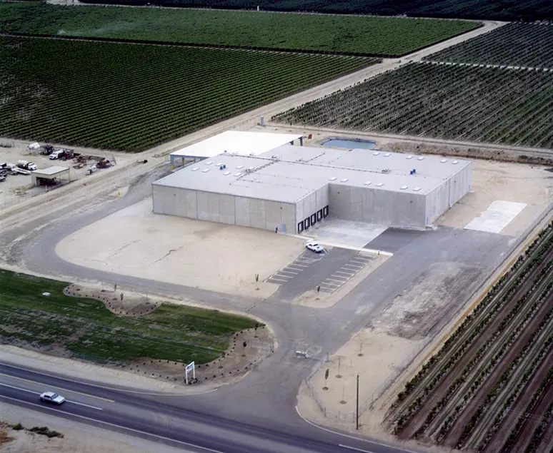 Sundale Vineyards Stellar 01